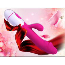 Adult Toys Sex Massager Vibrators for Woman (IJ-DV0038)